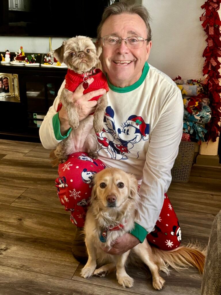 Our Shih Tzu and Corgi Maltese: Mickey and Minnie