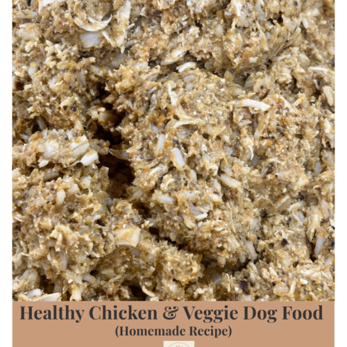 Healthy homemade dog food featuring chicken, vegetables and rice in a blended, ready-to-serve mix.
