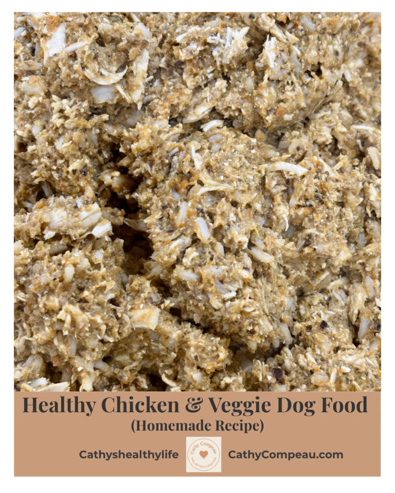 Healthy homemade dog food featuring chicken, vegetables and rice in a blended, ready-to-serve mix.