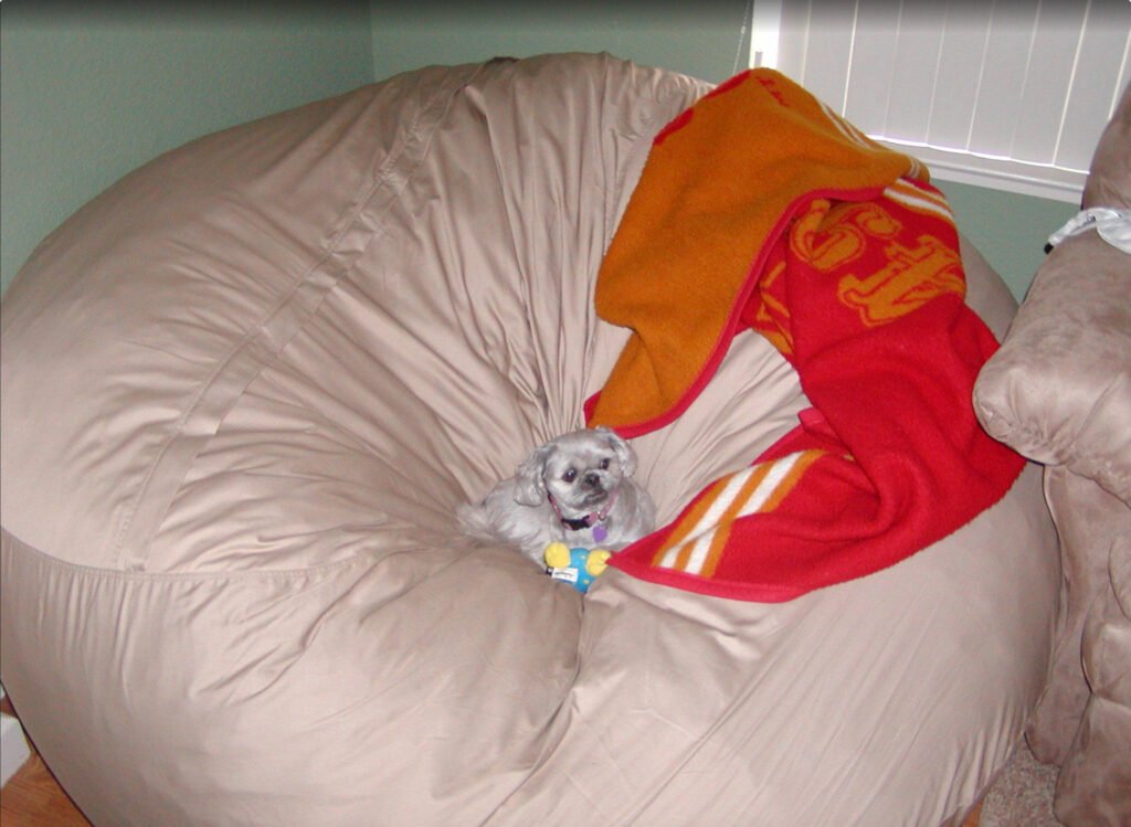 Big LoveSac with a dog in it. 